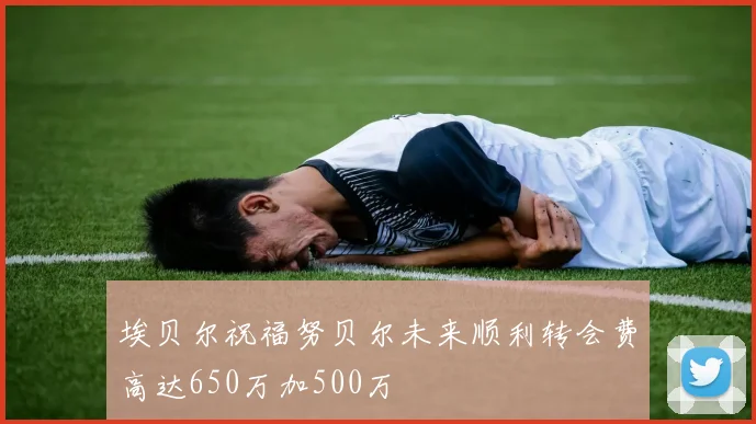 埃贝尔祝福努贝尔未来顺利转会费高达650万加500万