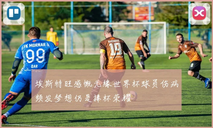 埃斯特旺感慨无缘世界杯球员伤病频发梦想仍是捧杯荣耀
