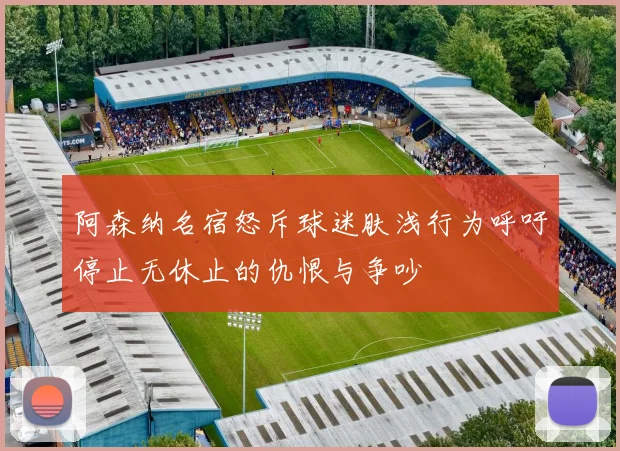 阿森纳名宿怒斥球迷肤浅行为呼吁停止无休止的仇恨与争吵