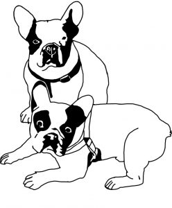 bulldog frances camiseta diseño maldacp dibujo